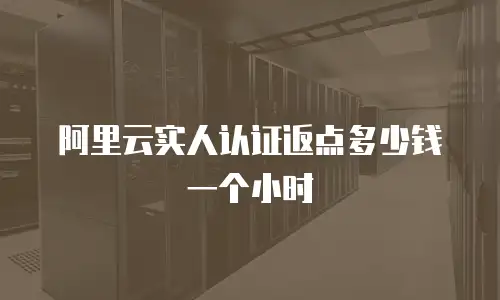 阿里云实人认证返点多少钱一个小时