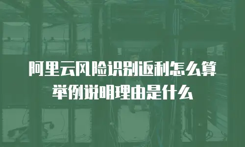 阿里云风险识别返利怎么算举例说明理由是什么