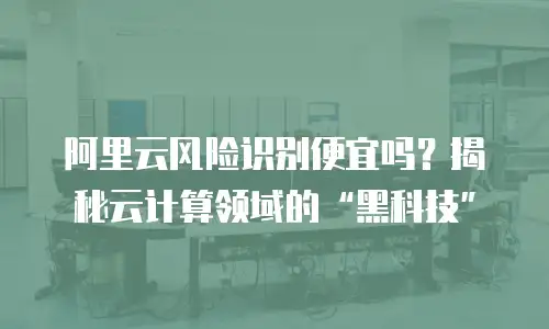 阿里云风险识别便宜吗？揭秘云计算领域的&ldquo;黑科技&rdquo;