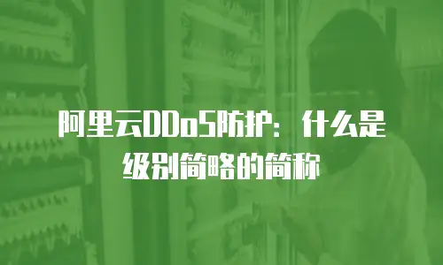 阿里云DDoS防护：什么是级别简略的简称