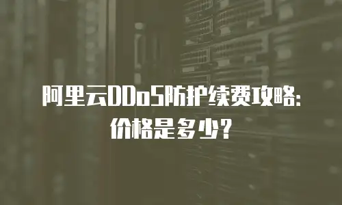 阿里云DDoS防护续费攻略：价格是多少？