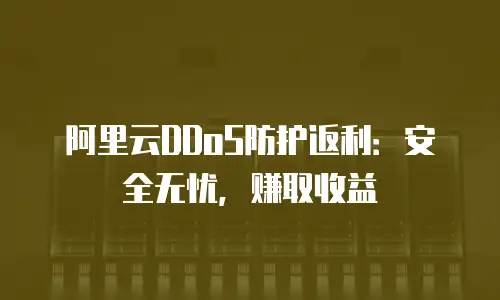 阿里云DDoS防护返利：安全无忧，赚取收益