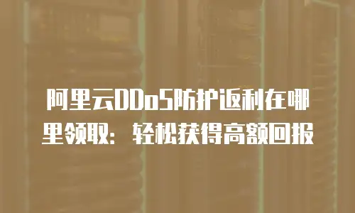 阿里云DDoS防护返利在哪里领取：轻松获得高额回报