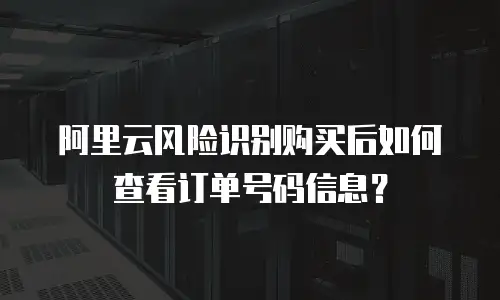 阿里云风险识别购买后如何查看订单号码信息？