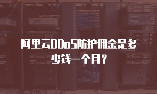 阿里云DDoS防护佣金是多少钱一个月？