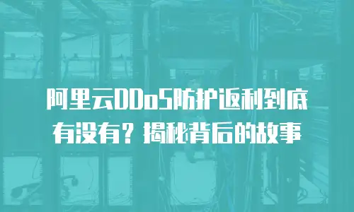 阿里云DDoS防护返利到底有没有？揭秘背后的故事