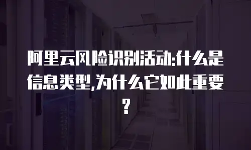 阿里云风险识别活动:什么是信息类型,为什么它如此重要?