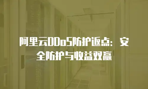 阿里云DDoS防护返点：安全防护与收益双赢