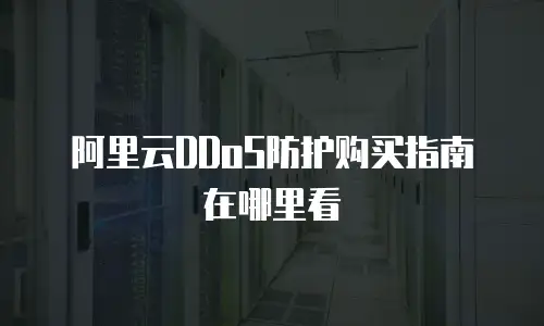 阿里云DDoS防护购买指南在哪里看