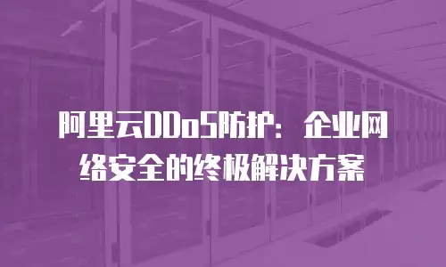 阿里云DDoS防护：企业网络安全的终极解决方案