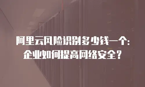 阿里云风险识别多少钱一个：企业如何提高网络安全？