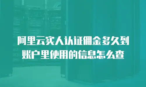 阿里云实人认证佣金多久到账户里使用的信息怎么查