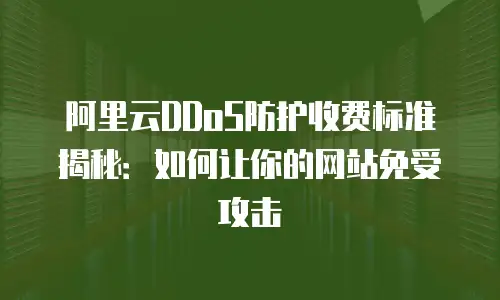 阿里云DDoS防护收费标准揭秘：如何让你的网站免受攻击