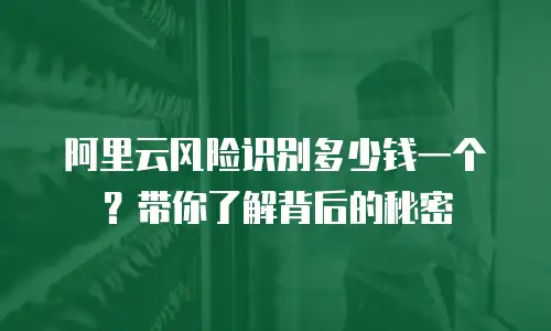 阿里云风险识别多少钱一个？带你了解背后的秘密