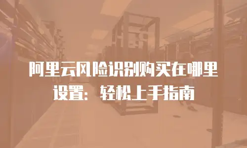 阿里云风险识别购买在哪里设置：轻松上手指南