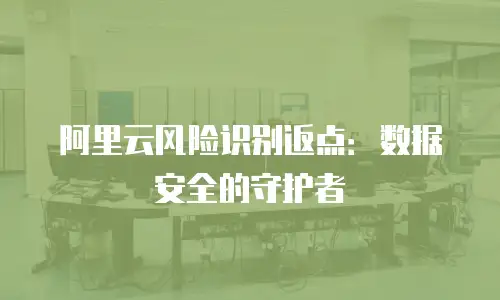 阿里云风险识别返点：数据安全的守护者