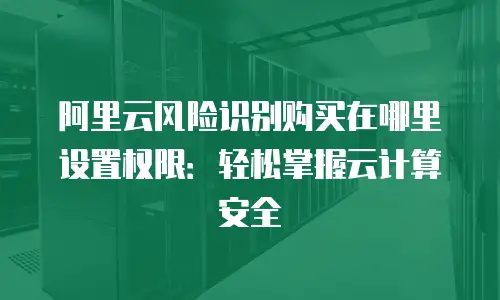 阿里云风险识别购买在哪里设置权限：轻松掌握云计算安全