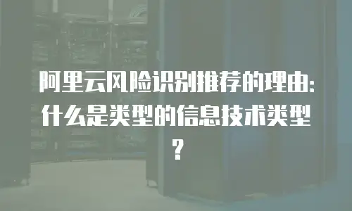阿里云风险识别推荐的理由：什么是类型的信息技术类型？