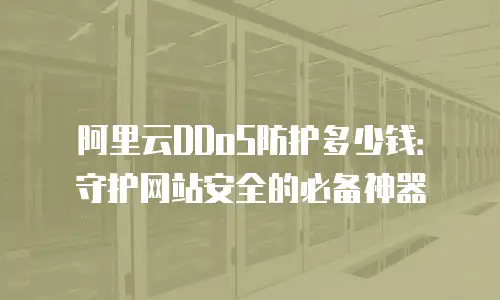 阿里云DDoS防护多少钱：守护网站安全的必备神器