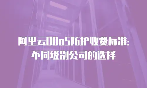 阿里云DDoS防护收费标准：不同级别公司的选择