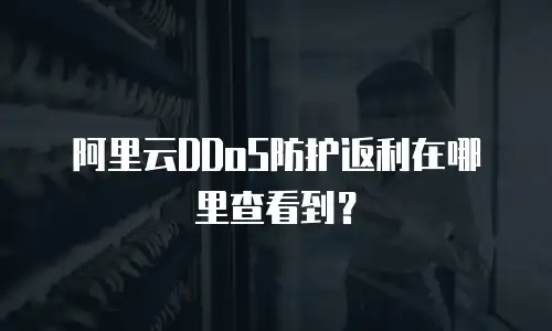 阿里云DDoS防护返利在哪里查看到？