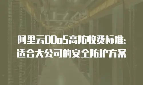 阿里云DDoS高防收费标准：适合大公司的安全防护方案