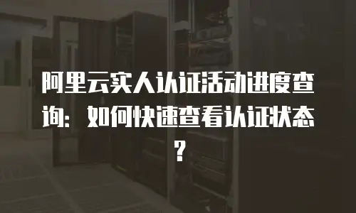 阿里云实人认证活动进度查询：如何快速查看认证状态？