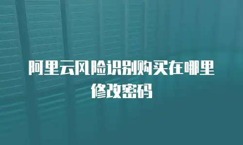阿里云风险识别购买在哪里修改密码