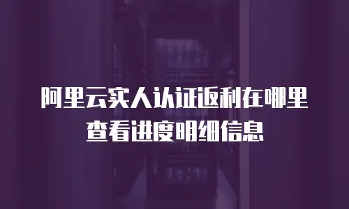 阿里云实人认证返利在哪里查看进度明细信息