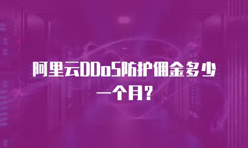 阿里云DDoS防护佣金多少一个月？