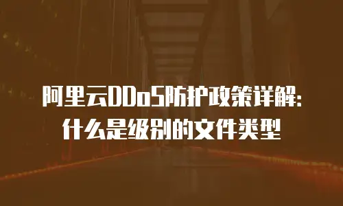 阿里云DDoS防护政策详解：什么是级别的文件类型