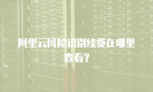 阿里云风险识别续费在哪里查看？