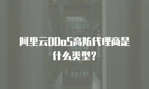 阿里云DDoS高防代理商是什么类型？