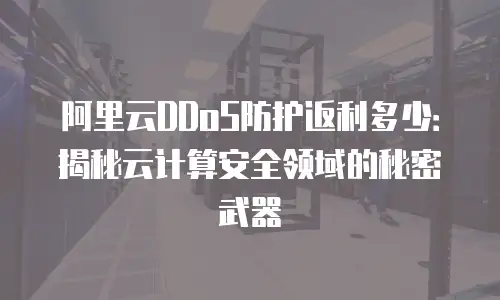 阿里云DDoS防护返利多少：揭秘云计算安全领域的秘密武器