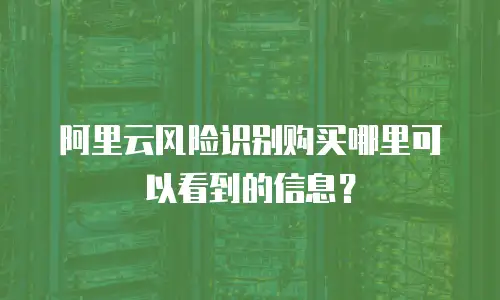 阿里云风险识别购买哪里可以看到的信息？