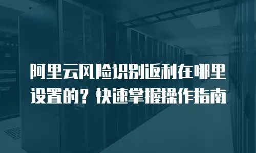 阿里云风险识别返利在哪里设置的？快速掌握操作指南