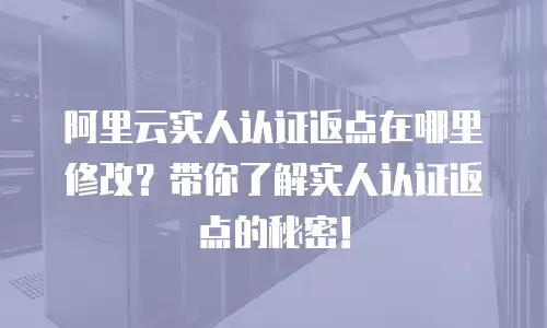 阿里云实人认证返点在哪里修改？带你了解实人认证返点的秘密！