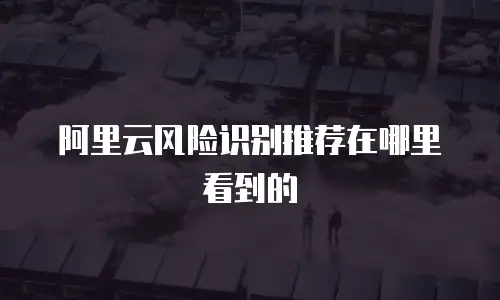 阿里云风险识别推荐在哪里看到的