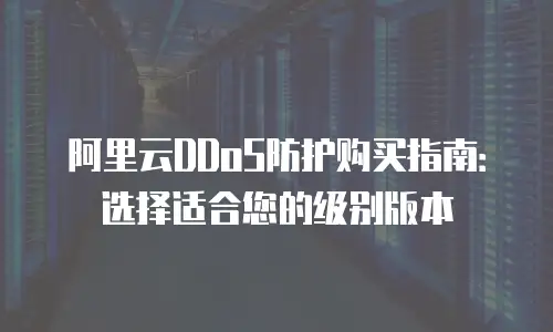 阿里云DDoS防护购买指南：选择适合您的级别版本