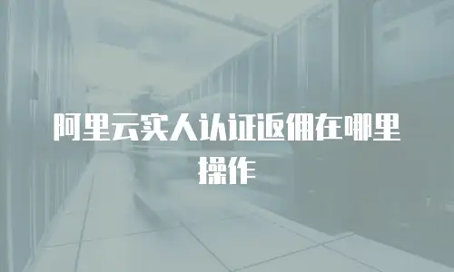 阿里云实人认证返佣在哪里操作