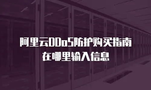 阿里云DDoS防护购买指南在哪里输入信息