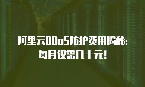 阿里云DDoS防护费用揭秘：每月仅需几十元！