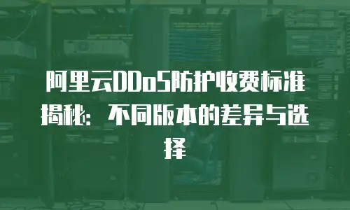 阿里云DDoS防护收费标准揭秘：不同版本的差异与选择