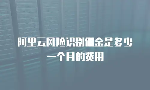 阿里云风险识别佣金是多少一个月的费用