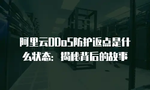 阿里云DDoS防护返点是什么状态：揭秘背后的故事