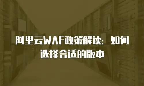 阿里云WAF政策解读：如何选择合适的版本