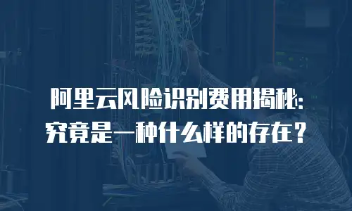 阿里云风险识别费用揭秘：究竟是一种什么样的存在？