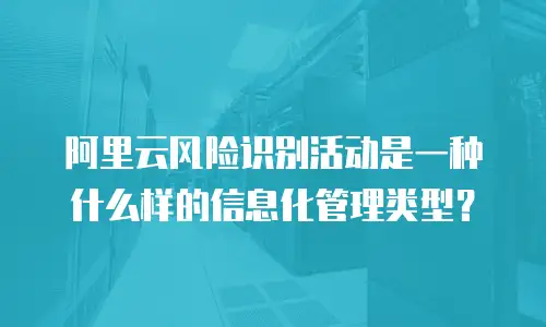阿里云风险识别活动是一种什么样的信息化管理类型？