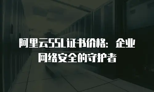 阿里云SSL证书价格：企业网络安全的守护者