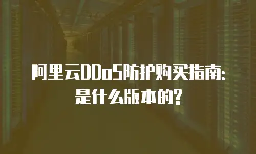 阿里云DDoS防护购买指南:是什么版本的?